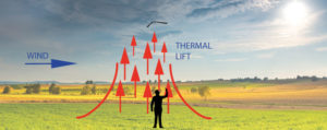 thermal soaring